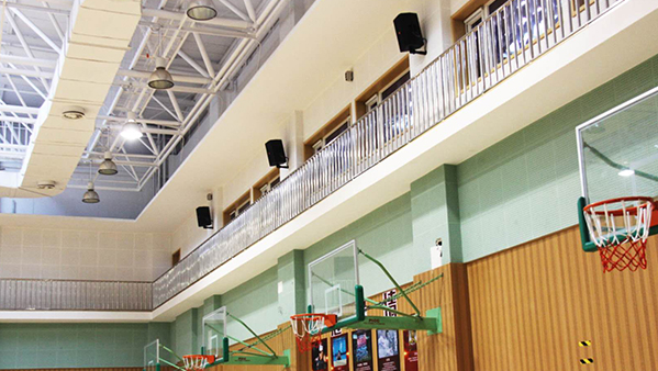 91香蕉视频下载网站馆香蕉视频导航工程扩声系统的解决方案