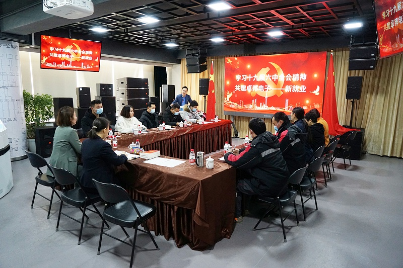 ZOBO香蕉视频在线播放党支部丨开展“学习贯彻党的十九届六中全会精神”主题党日活动