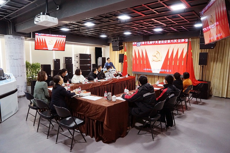 ZOBO香蕉视频在线播放党支部丨开展“学习贯彻党的十九届六中全会精神”主题党日活动