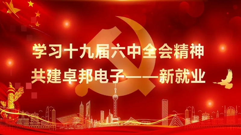 ZOBO香蕉视频在线播放党支部丨开展“学习贯彻党的十九届六中全会精神”主题党日活动